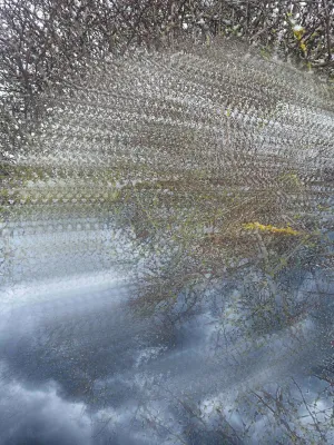 Gabrielė Kuizinaitė